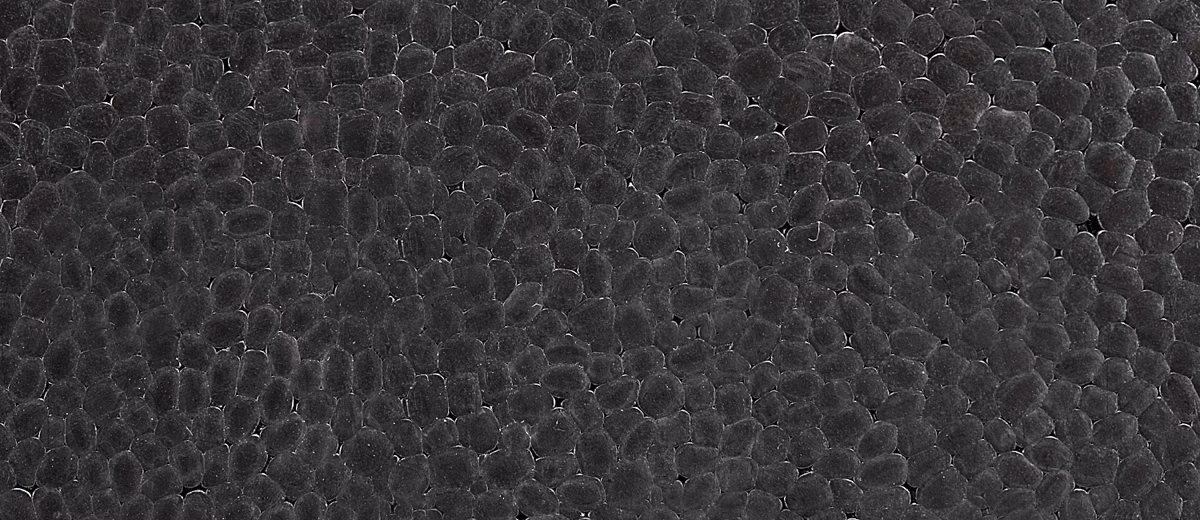 Expandiertes Polypropylen